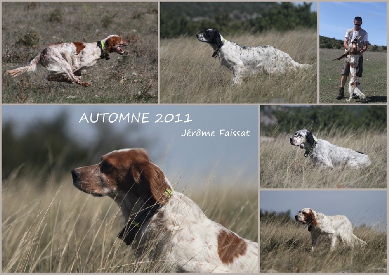 2011 Field Trial Automne GT
